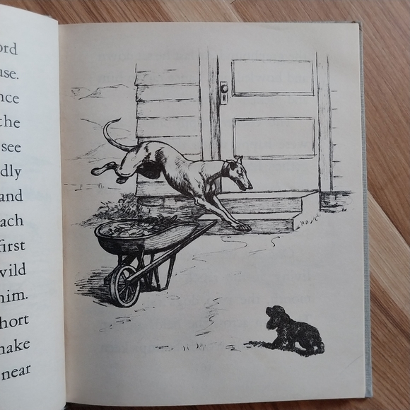 1945 Sir Lancelot and Scamp Children's Dog Book Margaret Helen Lossing Johnson - Picture 8 of 8